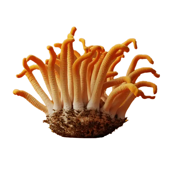 More-Energy Sound Extractions