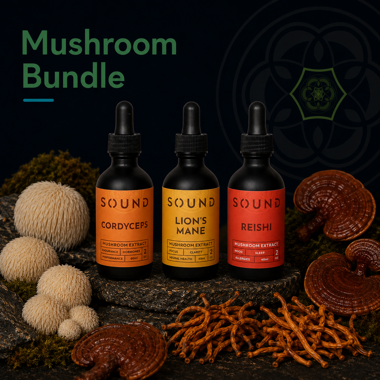 Mushroom Bundle | Lion's Mane, Reishi, Cordyceps, Infinite 8 (Mushroom Blend)