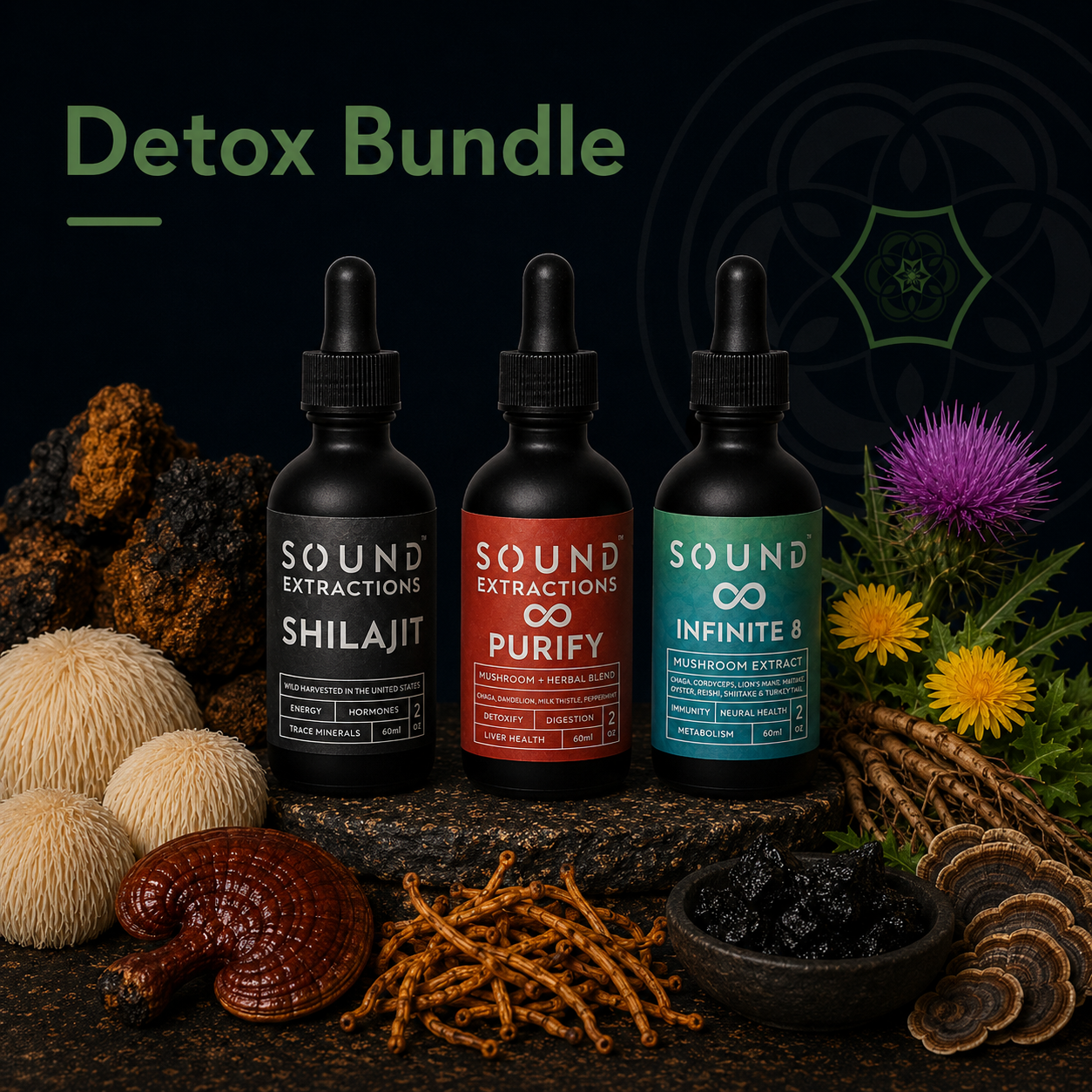 Detox Bundle | Shilajit, Purify, Infinite 8