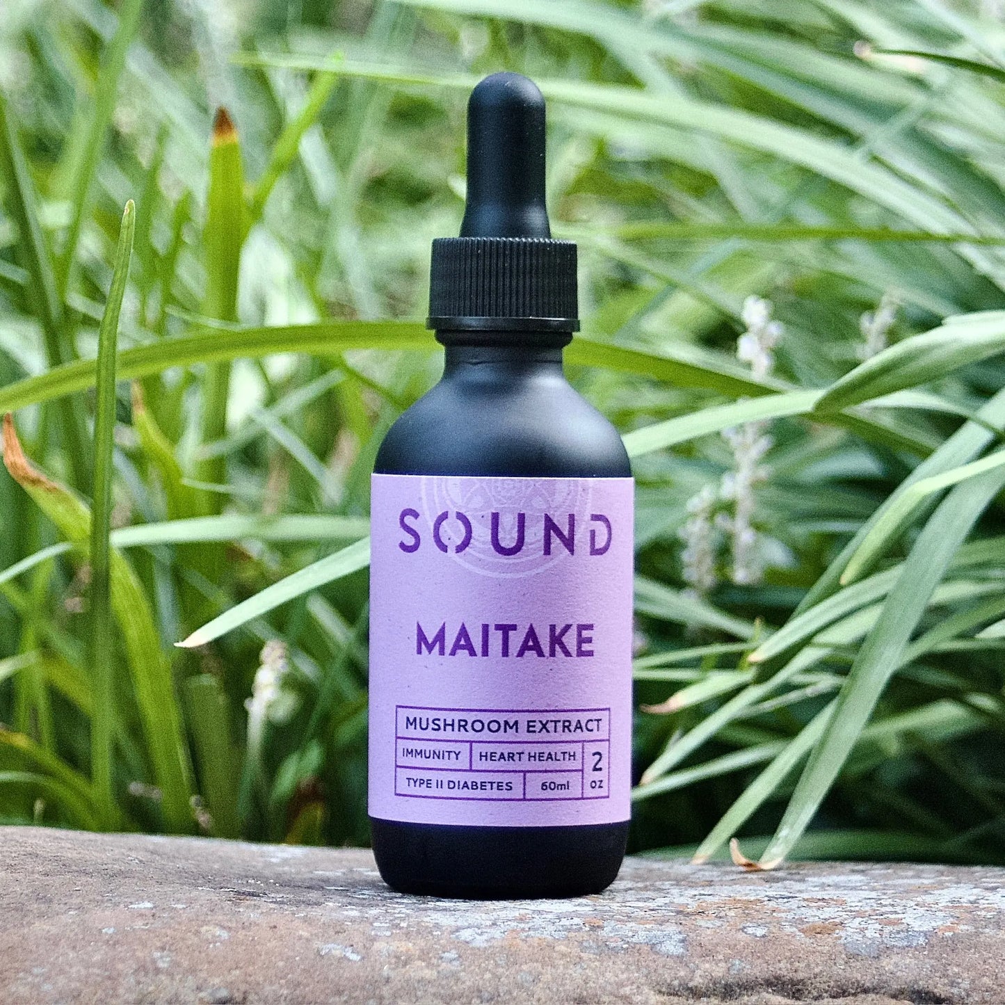 Light purple Maitake Mushroom Sound Extract on a rock in front of grass