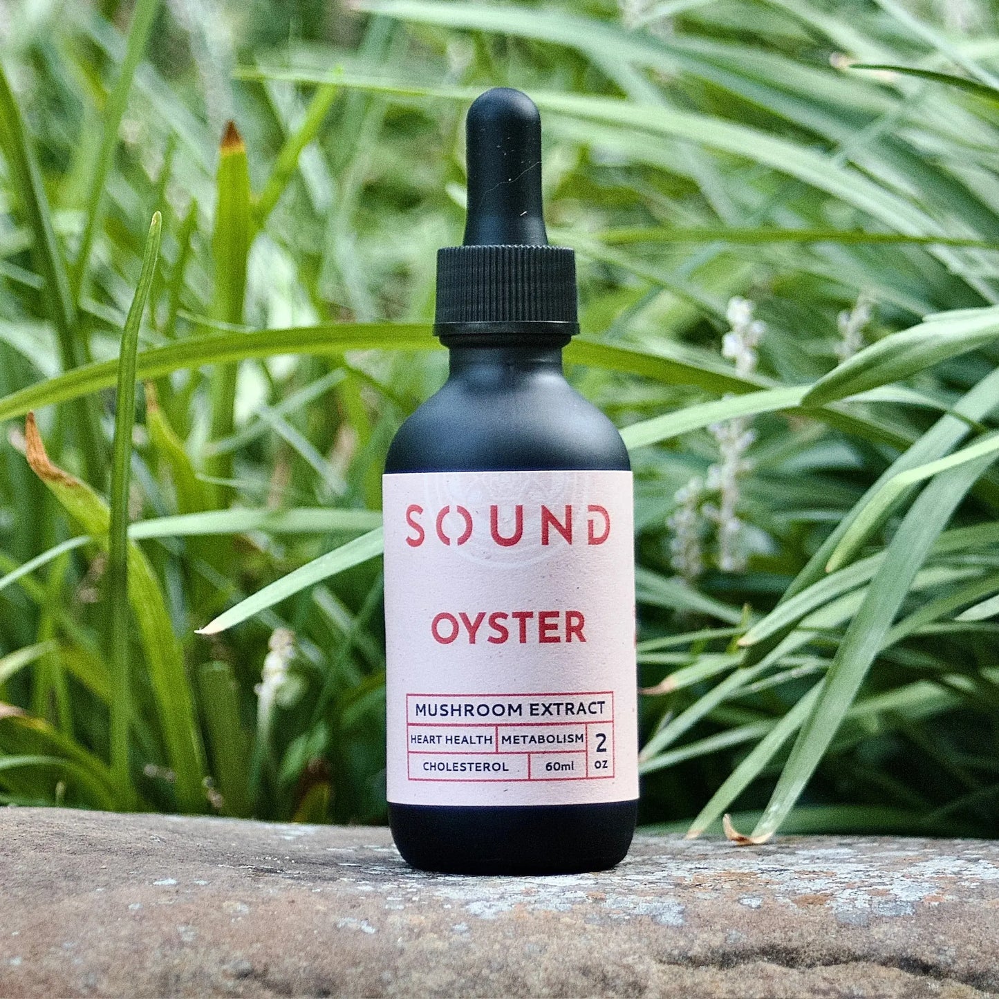Oyster Mushroom Sound Extract bottle with clean, natural backdrop