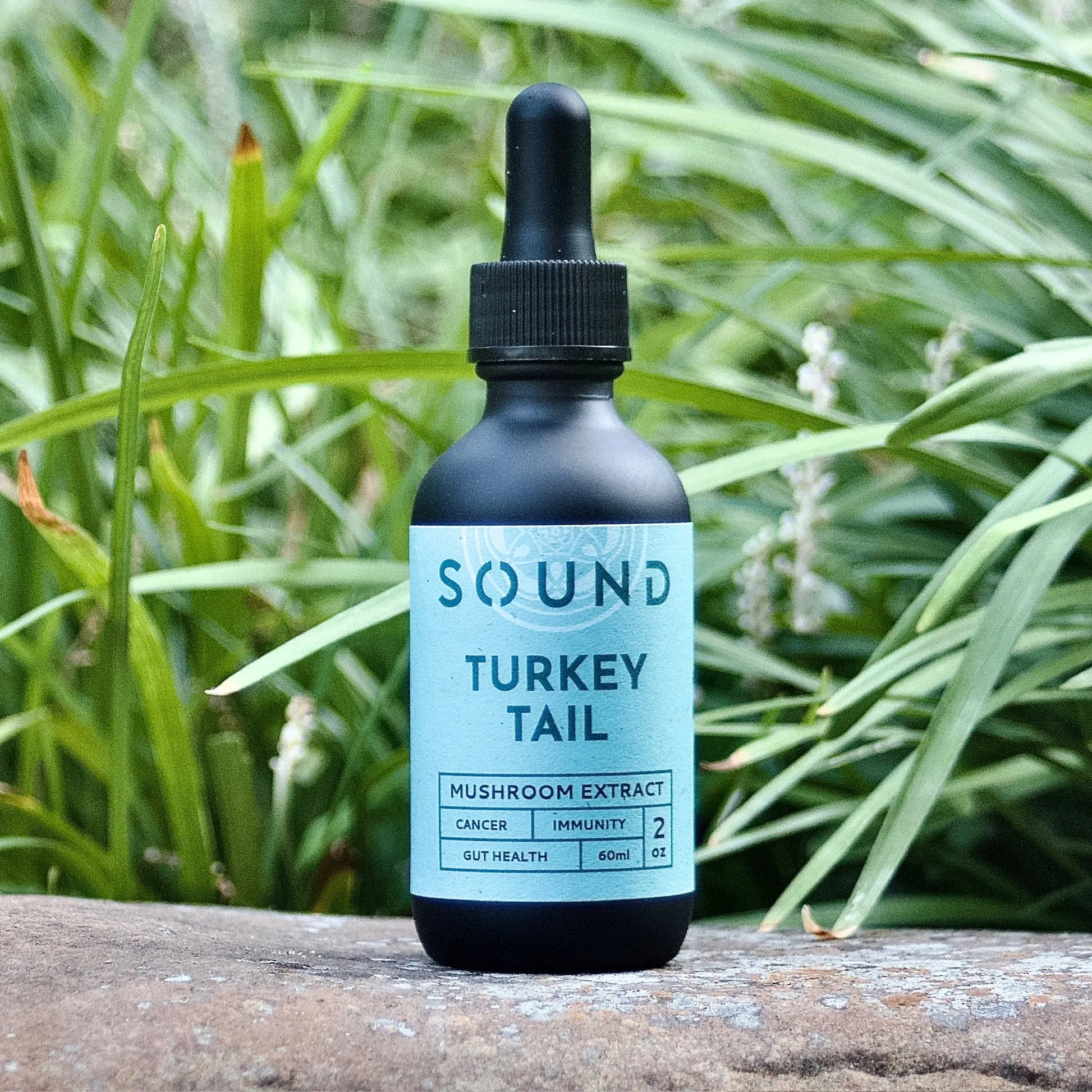 Light Teal Turkey Tail Mushroom Sound Extract 60 ml dropper bottle on a rock and in front of grass