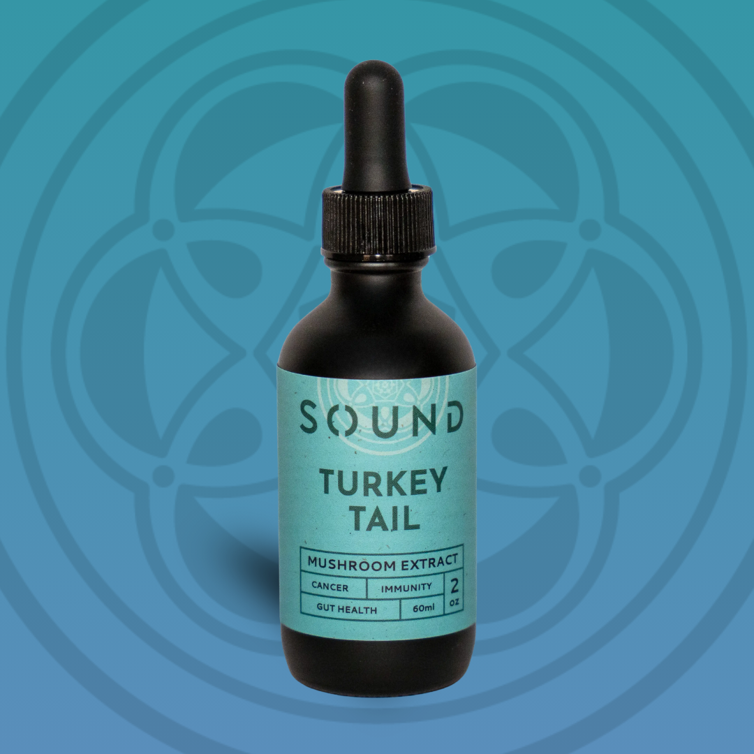 Turkey Tail Sound Extract | UAE Mushroom Isolate