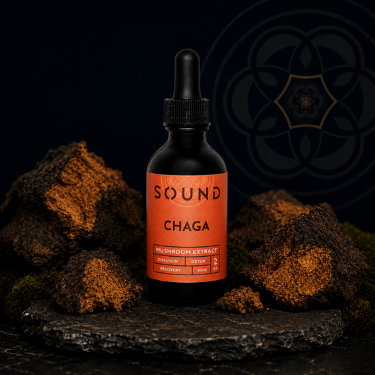 Chaga Sound Extract  | UAE Mushroom Isolate