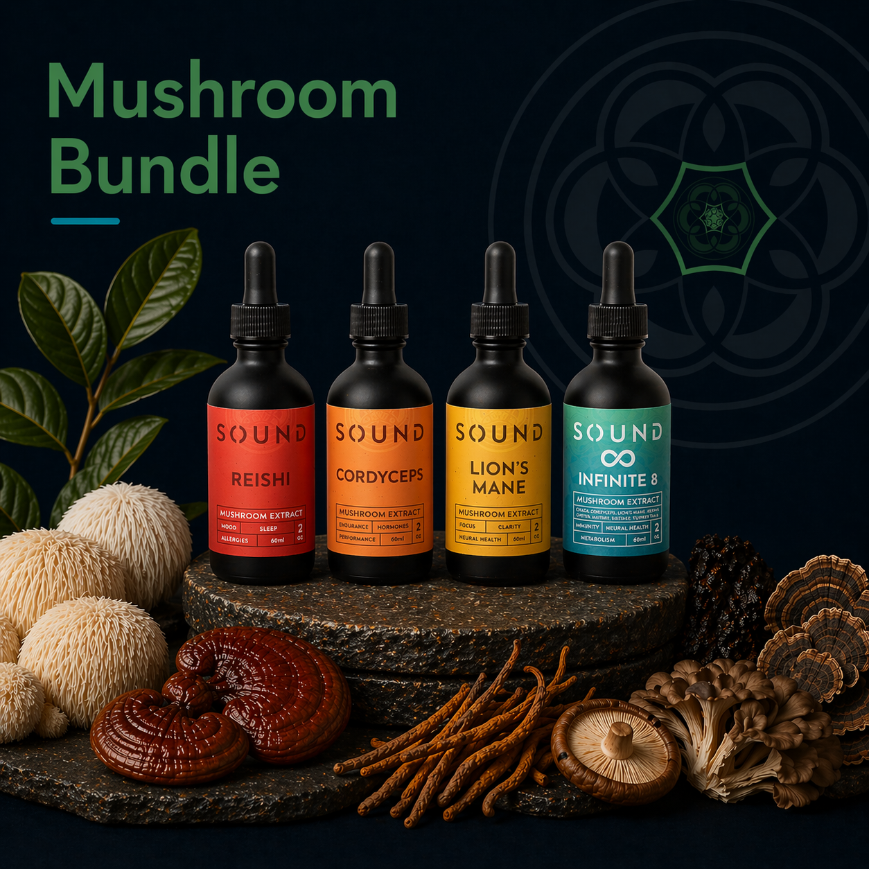 Mushroom Bundle | Lion's Mane, Reishi, Cordyceps, Infinite 8 (Mushroom Blend)