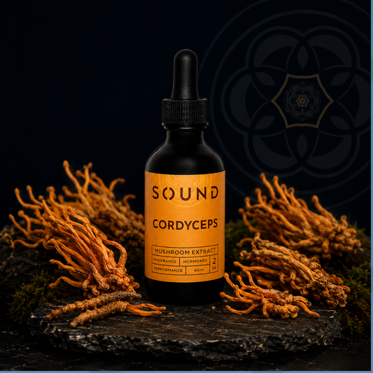 Cordyceps Sound Extract | UAE Mushroom Isolate