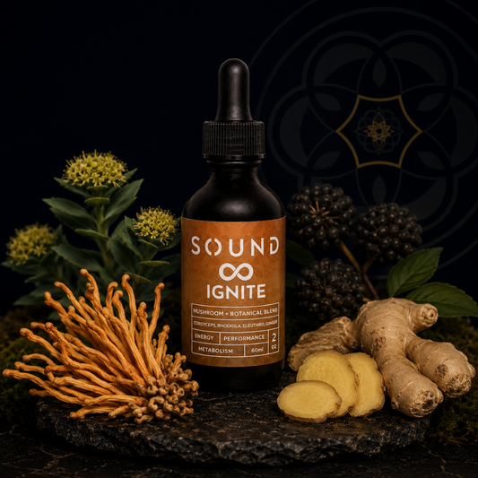 Ignite | Sound Extracted Cordyceps, Rhodiola, Eleuthro, & Ginger
