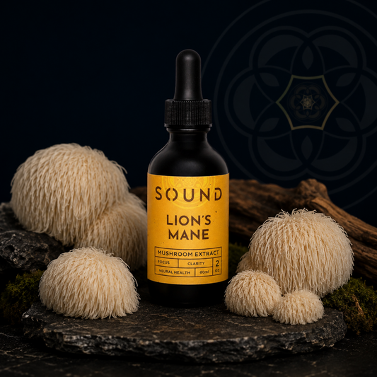 Lion’s Mane Sound Extract | UAE Mushroom Isolate