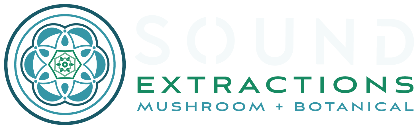 Sound_Extractions_Primary_Logo_Full_Color_Light_Text.png