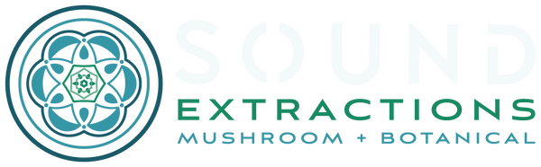 Sound Extractions