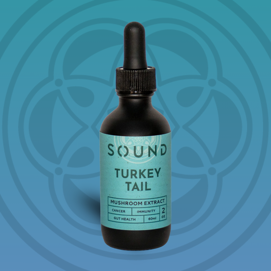 Turkey Tail Sound Extract | UAE Mushroom Isolate